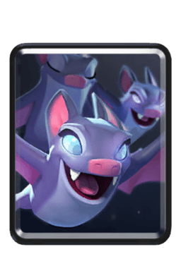 Bats