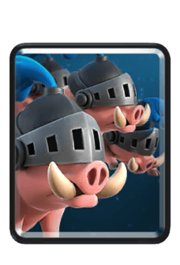 Royal Hogs